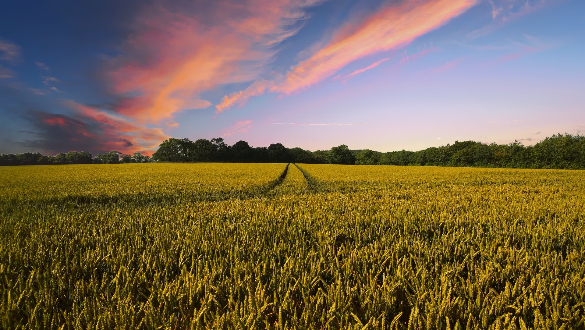 countryside-g3dc9fff2a_1920